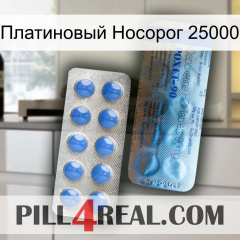 Платиновый Носорог 25000 40